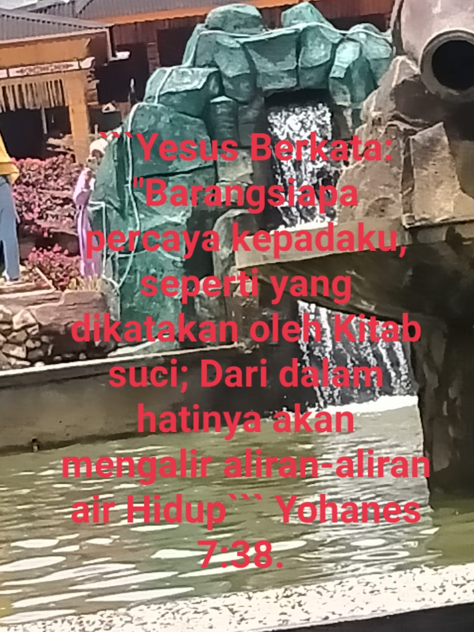 WhatsApp Image 2023-02-28 at 04.20.04